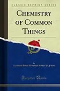 E-Book (pdf) Chemistry of Common Things von Raymond Bedell Brownlee Robert W. Fuller