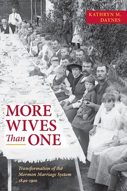 Kartonierter Einband More Wives Than One von Kathryn M Daynes