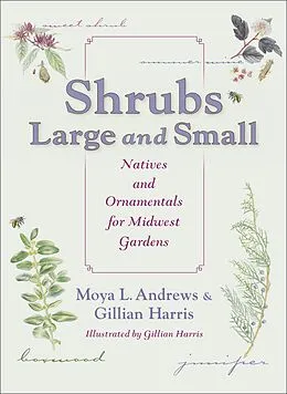 E-Book (epub) Shrubs Large and Small von Moya L. Andrews, Gillian Harris