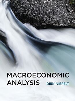 Livre Relié Macroeconomic Analysis de Dirk Niepelt