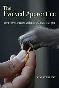 E-Book (epub) The Evolved Apprentice von Kim Sterelny