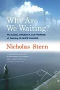 E-Book (epub) Why Are We Waiting? von Nicholas Stern