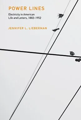 E-Book (epub) Power Lines von Jennifer L. Lieberman