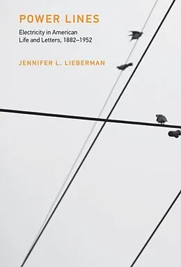 E-Book (epub) Power Lines von Jennifer L. Lieberman