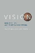 Kartonierter Einband Vision von John E. (Professor Emeritus, Harvard University) Dowling, Joseph L. Dowling Jr.