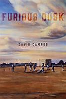 Kartonierter Einband Furious Dusk von David Campos