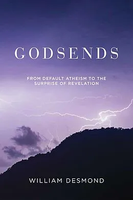 E-Book (epub) Godsends von William Desmond
