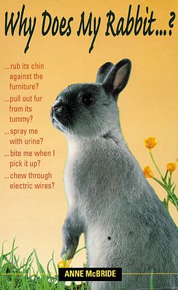 eBook (epub) Why Does My Rabbit...? de Anne Mcbride