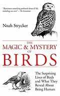 E-Book (epub) The Magic & Mystery of Birds von Noah Strycker