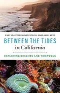 E-Book (epub) Between the Tides in California von Ryan P. Kelly, Terrie Klinger, Patrick J. Krug
