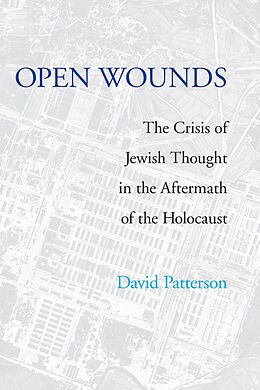 E-Book (pdf) Open Wounds von David Patterson