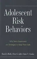 E-Book (pdf) Adolescent Risk Behaviors von David A. Wolfe