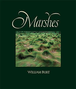 eBook (pdf) Marshes de John Kane