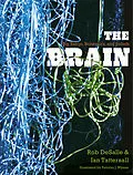 E-Book (pdf) Brain von Rob Desalle