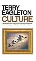 E-Book (epub) Culture von Terry Eagleton