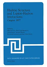 Fester Einband Hadron Structure and Lepton-Hadron Interactions von