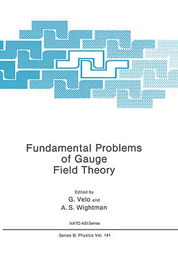 Fester Einband Fundamental Problems of Gauge Field Theory von 