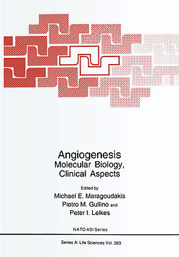 Fester Einband Angiogenesis von M. E. Maragoudakis, Michael Ed. Maragoudakis, North Atlantic Treaty Organization