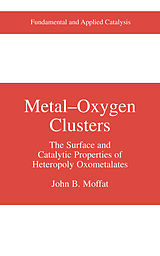 eBook (pdf) Metal-Oxygen Clusters de John B. Moffat