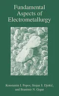 E-Book (pdf) Fundamental Aspects of Electrometallurgy von Konstantin Popov, Branamir Grgur, Stojan S. Djokic