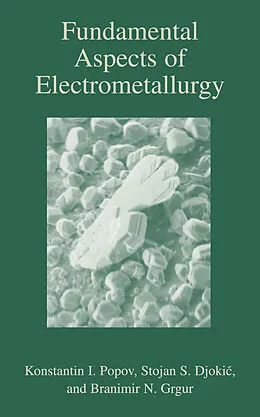 E-Book (pdf) Fundamental Aspects of Electrometallurgy von Konstantin Popov, Branamir Grgur, Stojan S. Djokic