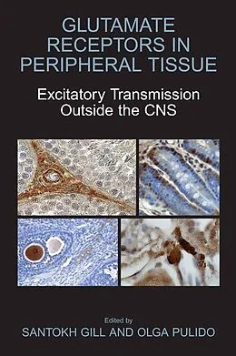 E-Book (pdf) Glutamate Receptors in Peripheral Tissue von Santokh Gill, Olga Pulido