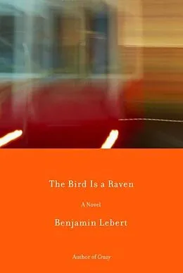 E-Book (epub) The Bird Is a Raven von Benjamin Lebert
