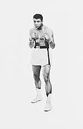 E-Book (epub) More Than a Champion von Jan Philipp Reemtsma