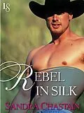 E-Book (epub) Rebel in Silk von Sandra Chastain