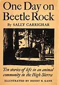 E-Book (epub) One Day On Beetle Rock von Sally Carrighar
