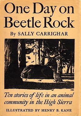 eBook (epub) One Day On Beetle Rock de Sally Carrighar