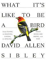 Fester Einband What It's Like to Be a Bird von David Allen Sibley