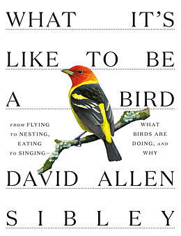 Fester Einband What It's Like to Be a Bird von David Allen Sibley