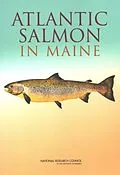 E-Book (epub) Atlantic Salmon in Maine von National Research Council, Division on Earth and Life Studies, Ocean Studies Board