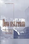 E-Book (pdf) Downstream von National Research Council, Division on Earth and Life Studies, Environment and Resources Commission