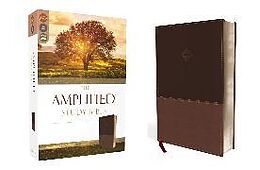 Couverture en cuir The Amplified Study Bible, Leathersoft, Brown de Zondervan