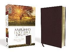 Couverture en cuir Amplified Holy Bible, Large Print, Bonded Leather, Burgundy de Zondervan