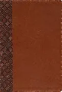 Leder-Einband Amplified Holy Bible, Large Print, Leathersoft, Brown von 