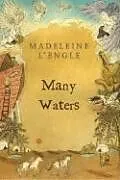 Kartonierter Einband Many Waters von L'Engle Madeleine