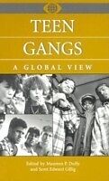 eBook (pdf) Teen Gangs: A Global View de 