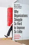E-Book (pdf) Why Organizations Struggle So Hard to Improve So Little von Martin Klubeck, Michael Langthorne, Donald Padgett