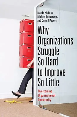 E-Book (pdf) Why Organizations Struggle So Hard to Improve So Little von Martin Klubeck, Michael Langthorne, Donald Padgett