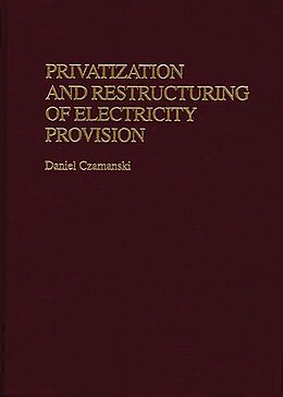 E-Book (pdf) Privatization and Restructuring of Electricity Provision von Daniel Czamanski