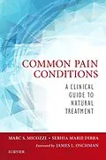 E-Book (pdf) Common Pain Conditions - E-Book von Micozzi MD, Sebhia Dibra