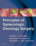 ePUB Principles of Gynecologic Oncology Surgery E-Book von Pedro T. Ramirez, Michael Frumovitz, Nadeem R. Abu-Rustum