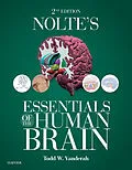 E-Book (epub) Nolte's Essentials of the Human Brain E-Book von Todd W. Vanderah