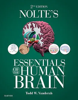 E-Book (epub) Nolte's Essentials of the Human Brain E-Book von Todd W. Vanderah