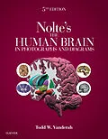E-Book (epub) Nolte's The Human Brain in Photographs and Diagrams E-Book von Todd W. Vanderah