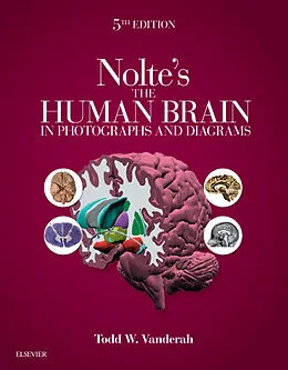 E-Book (epub) Nolte's The Human Brain in Photographs and Diagrams E-Book von Todd W. Vanderah