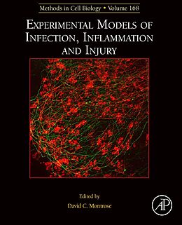 eBook (epub) Experimental Models of Infection, Inflammation and Injury de 